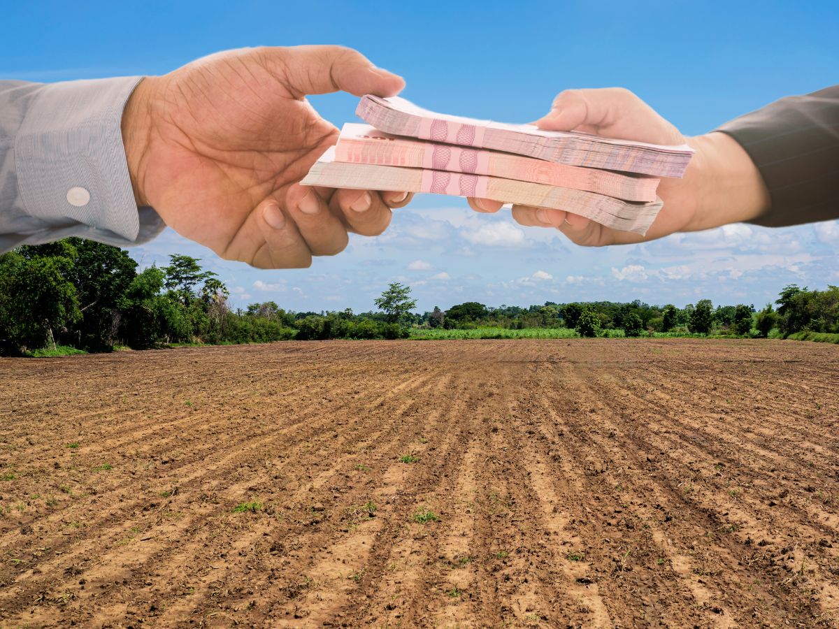 जमीन गिरवी रखने के बाद भी किसानों से गारंटी मांग रहे बैंक, जानिए पूरा मामला